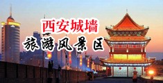男人阴劲插入女人阴道里视频中国陕西-西安城墙旅游风景区